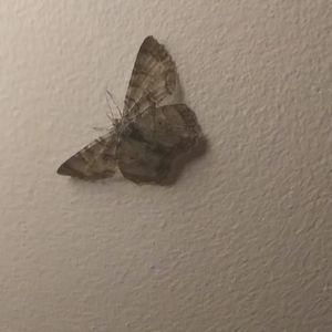 Meet your Posher, Bryon